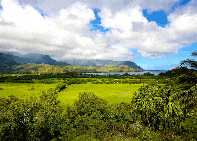 hanaleibay