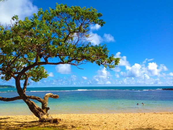 Anahola Beach Park is a great beach for long walks and swimming