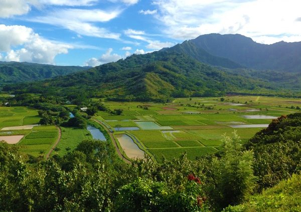 Gorgeous views from Hanalei lookout overlooking taro fields