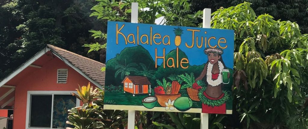 , 3 Ways to Discovery Kauai’s Canoe Plants