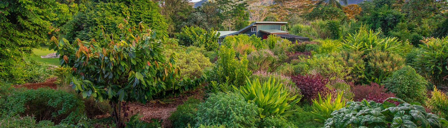 Kauai_Farmacy_Gardens_1600x778_2048x