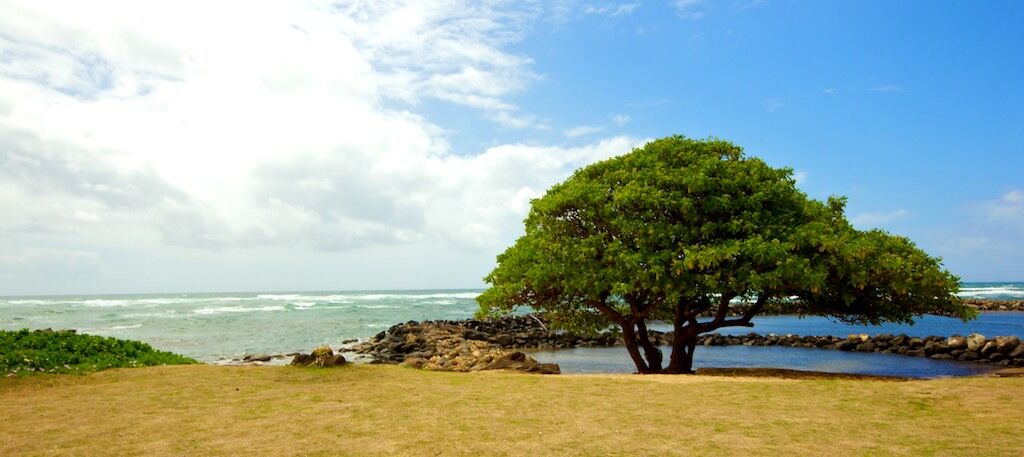 Enjoy fun in the sun, access to the bike path, and the best playground on Kauai at Lydgate Beach Park