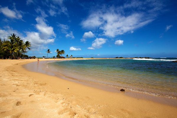 Salt Pond Beach Park is a great place to bring the whole family