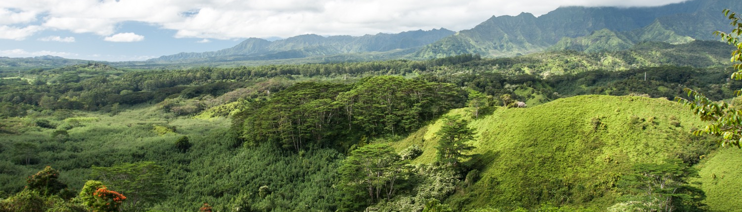 Hanalei after the 2018 flood